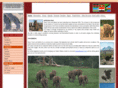 stevetours.com