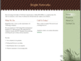 bright-networks.net