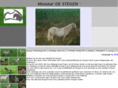 minipaardje.com