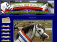 stenburyparkponystud.com