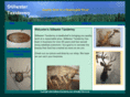 stillwatertaxidermy.com