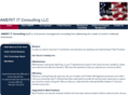 amerit-itllc.com
