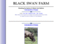 blackswancobs.com