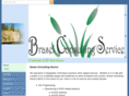 braselconsultingservice.com