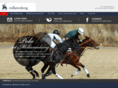 millamolong.com