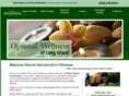 optimalwellnessoflongisland.com