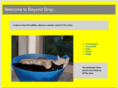 beyondgray.net