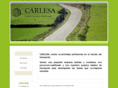 carlesa.es