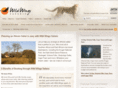 wild-wings-safaris.com