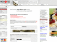 iblocs.com