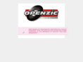 openzic.com