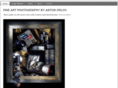 orlovphoto.com