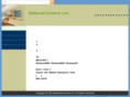 bellwood-systems.com