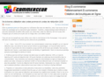 e-commerceur.com