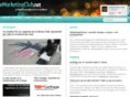 emarketingclub.net