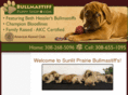 bullmastiffpuppyshop.com