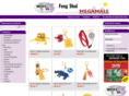 fengshuieuropean.com