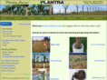 plantra-orchard.com