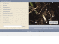 soilmechanic.com
