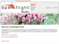 sparkflightstudio.com