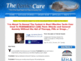 thepanicscure.com