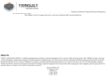 trinsult.com