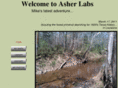 asherlabs.com