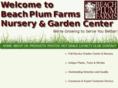 beachplumnurseries.com