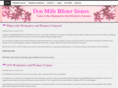 donmillsblistersisters.com