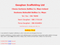 gaughanscaffoldingltd.com