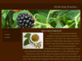 herbalbodyremedies.com