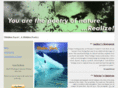 hiddenpoetry.com
