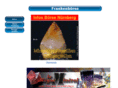 mineralien-sammler.info