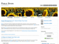 publicspark.com