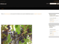 welham.net