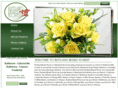 baltimorebloom.com