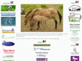 horse-milk.com