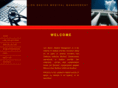 lienbasicsmm.com