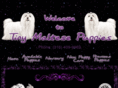 tinymaltesepuppies.com