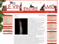 vinentreamis.com