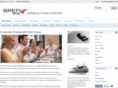 brefigroup.com