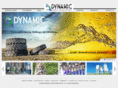 dynamicpetro.com