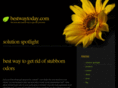 bestwaytoday.com