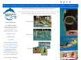 schwimmverein-gera.de