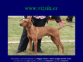 vizsla.es