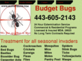 budgetbugs.com