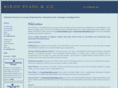 byronevanssurveyors.com