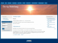db-dyvig.dk