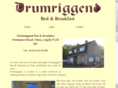 drumriggend.com