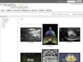 forginglight.com